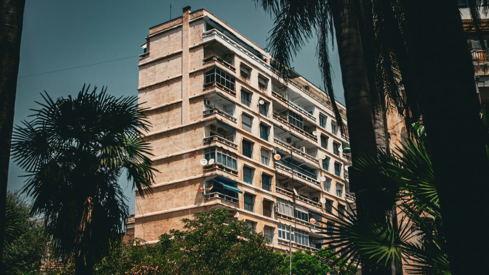 Palmiyeler arasından görünen çok katlı apartman cephesi