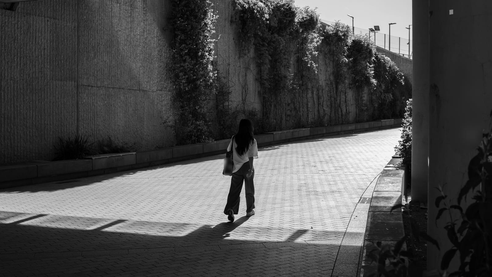 Güneşli bir günde alt geçitten sarmaşıklı duvar boyunca tek başına yürüyen kişi, arkadan görünüm