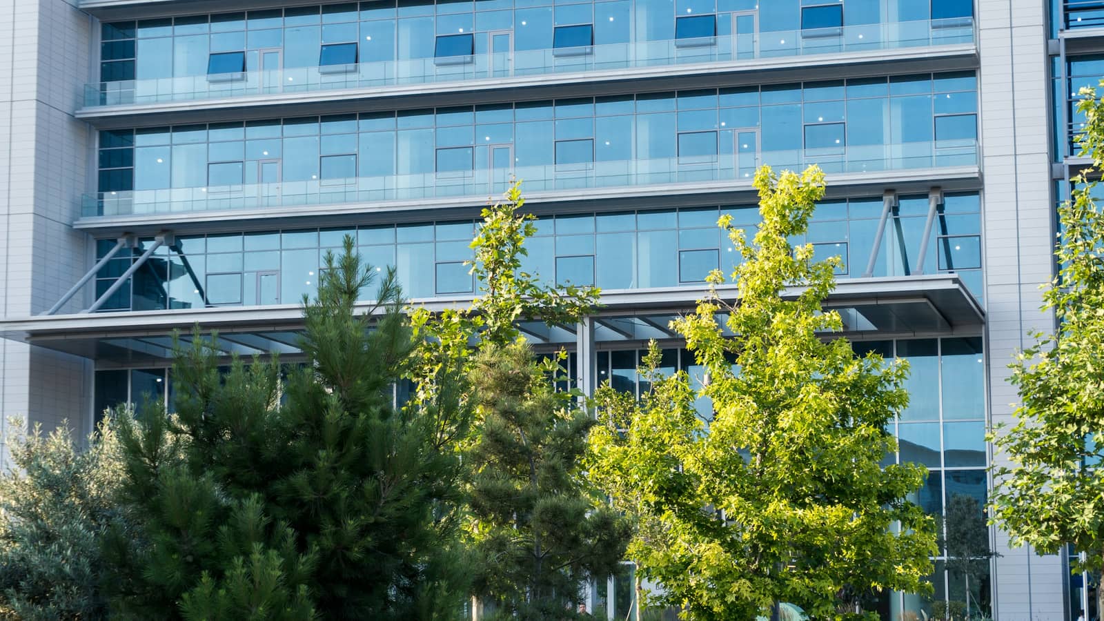 Ağaçların arkasındaki cam cepheli ofis binası