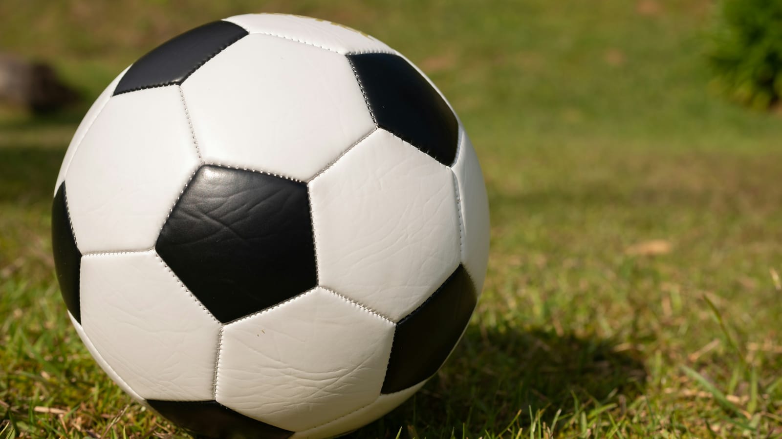 Çimde duran futbol topu