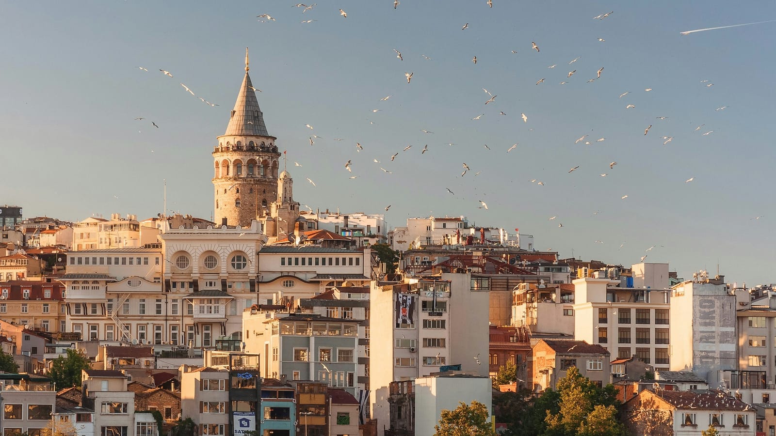 Galata Kulesi ve çevresindeki çatılar