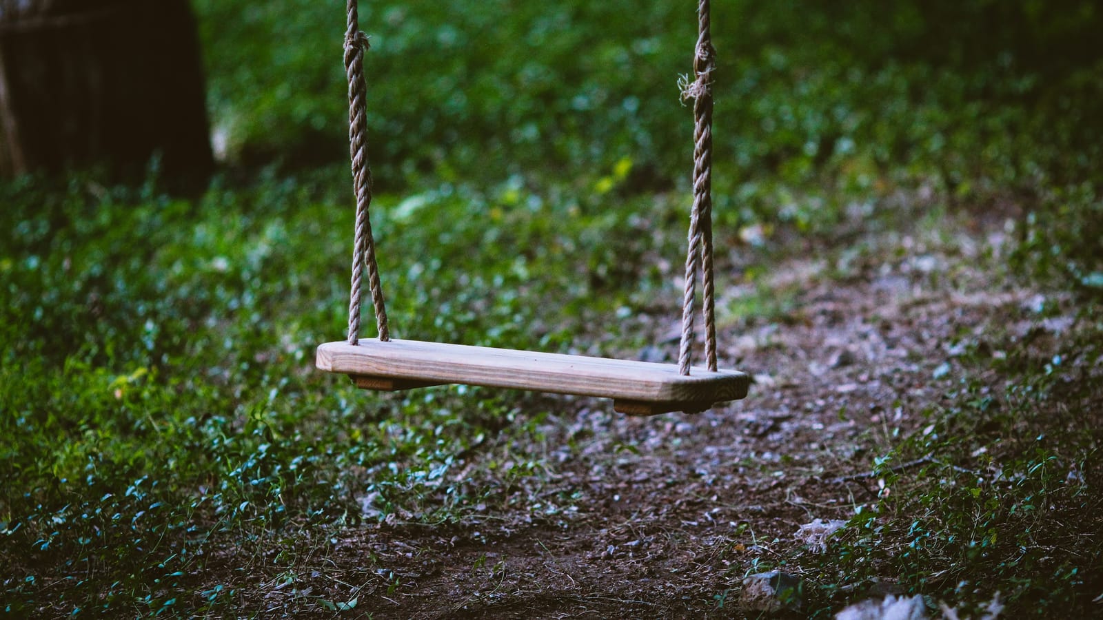 Çimenli toprak zeminde iplerle asılı boş ahşap salıncak