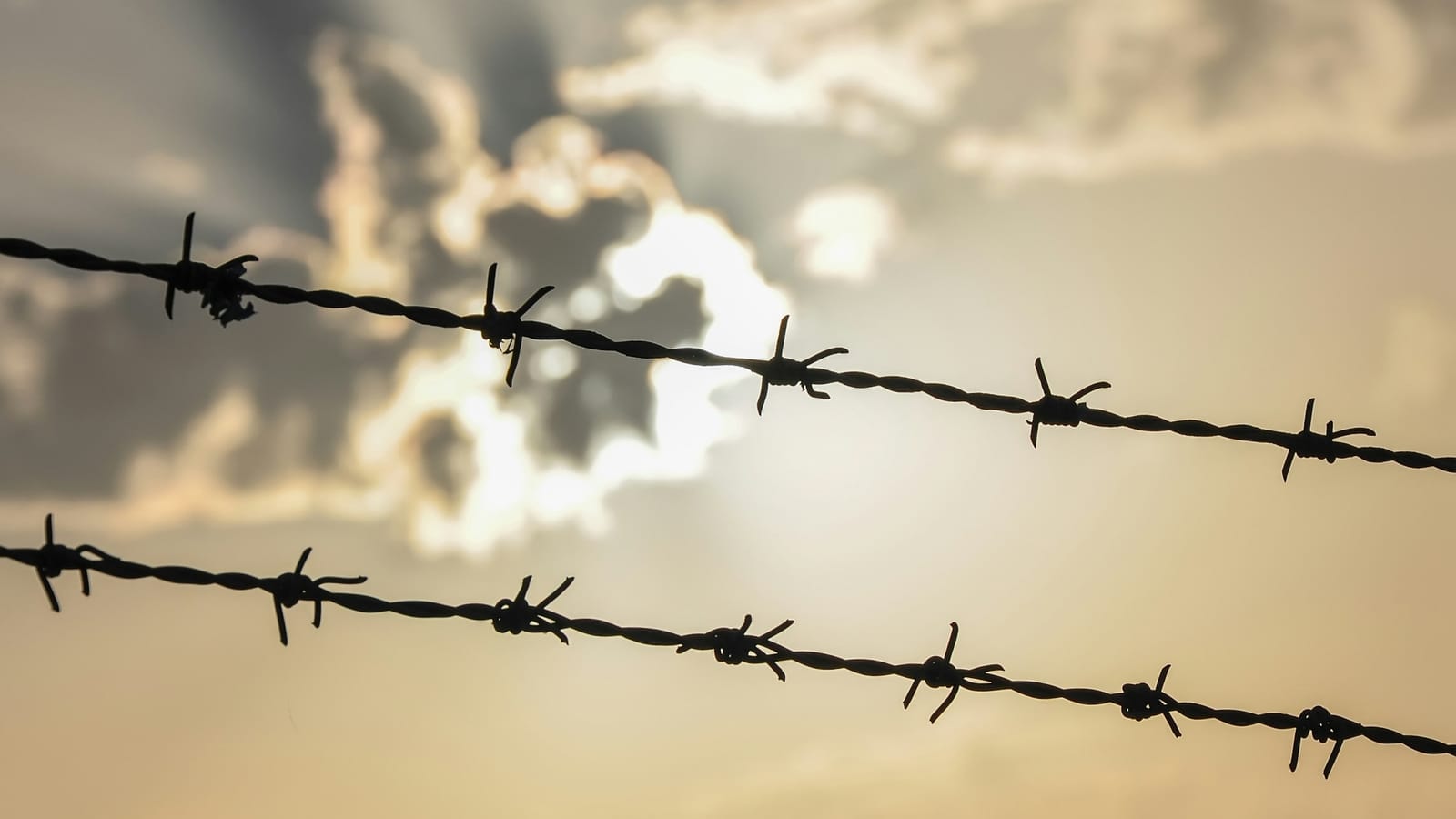Gün batımında dikenli tel